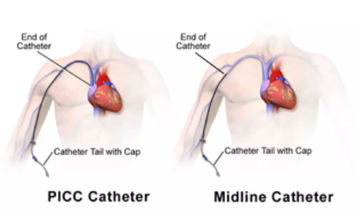 PICC Catheters