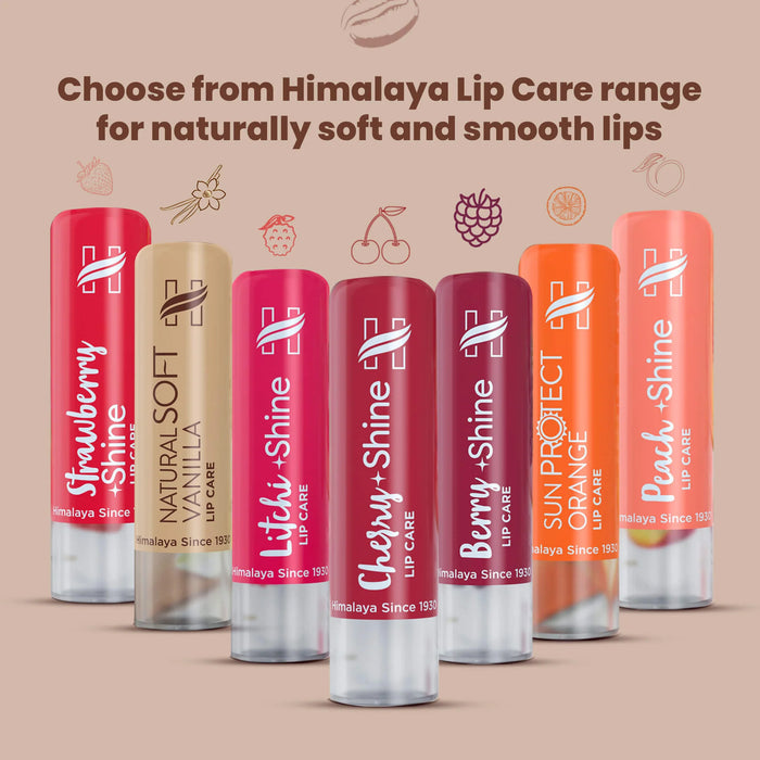 Himalaya Rich Cocoa Butter Lip Care