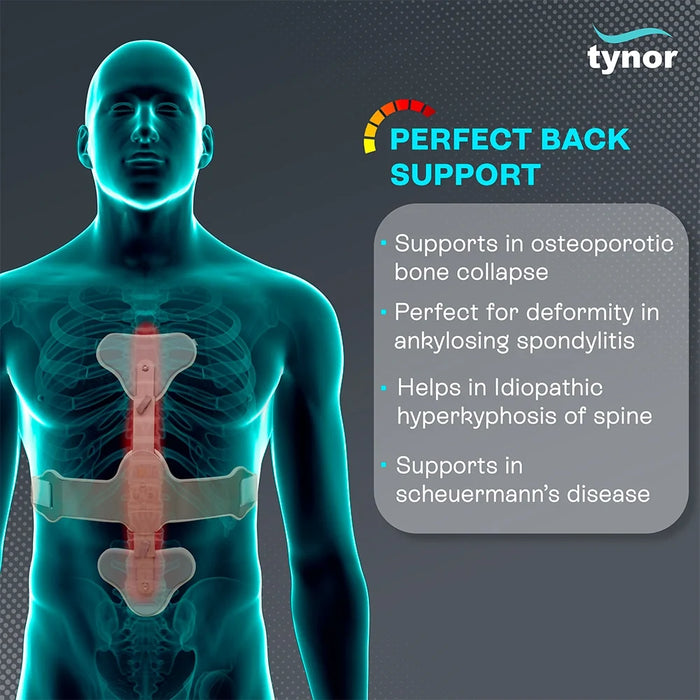 Ash Brace (Hyper Extension Brace) Tynor