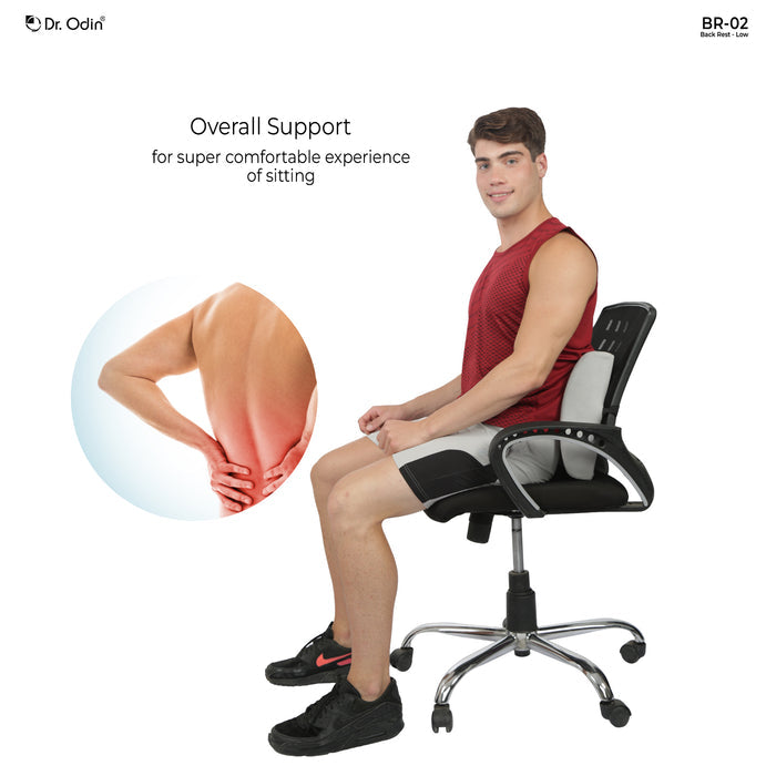 Back Rest Low