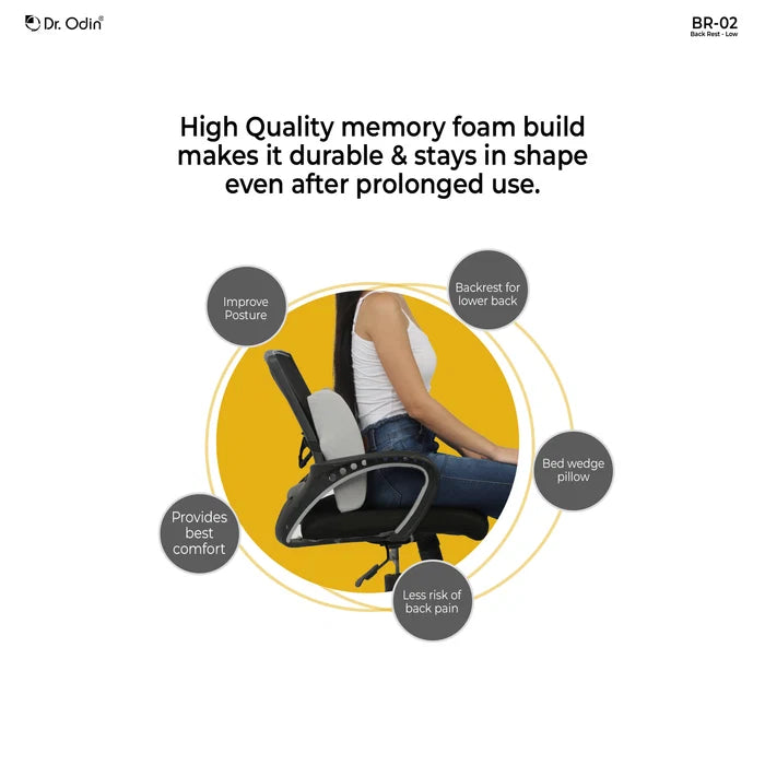Back Rest Low