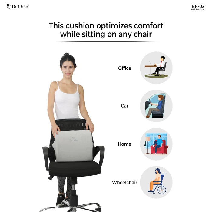 Back Rest Low