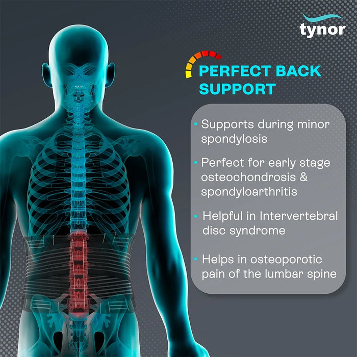 Back Support Belt Tynor