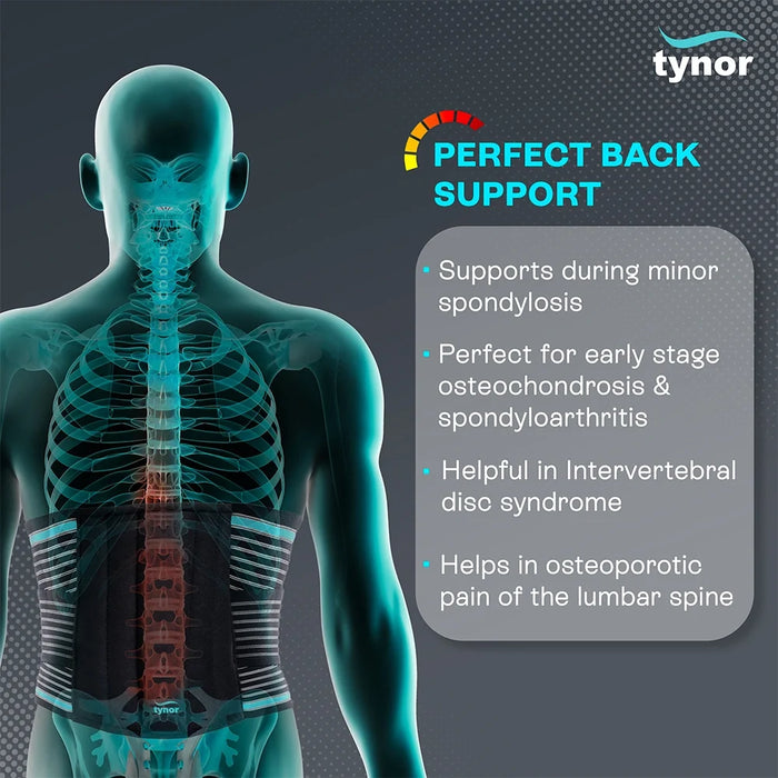 Lumbo Sacral Belt (Black) Tynor