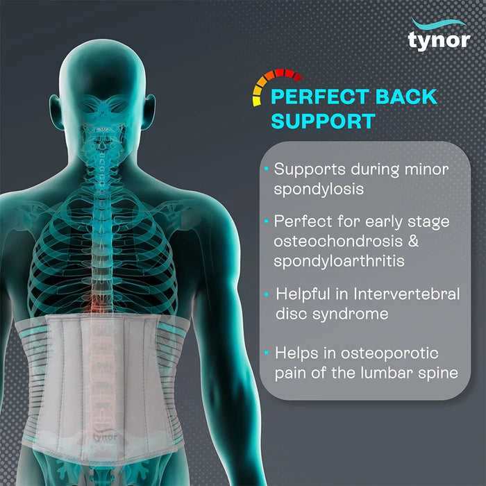 Lumbo Sacral Belt (Grey) Tynor