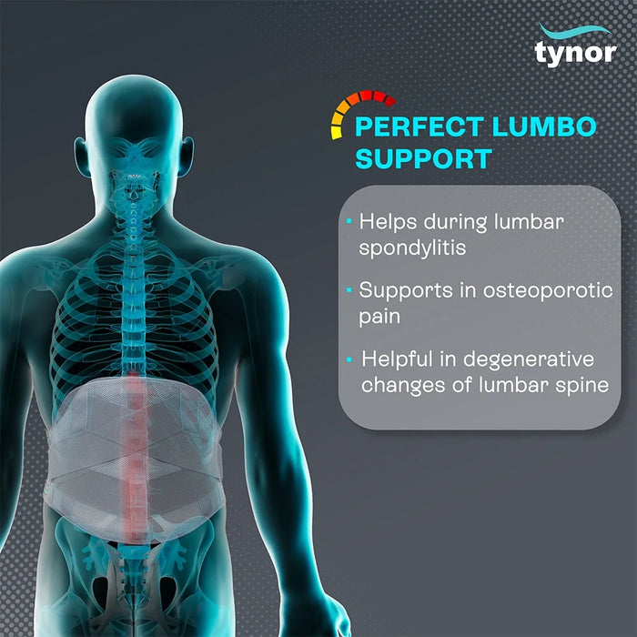 Lumbo Support Tynor